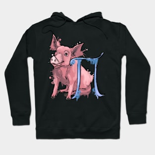 Pig and Pi Hoodie